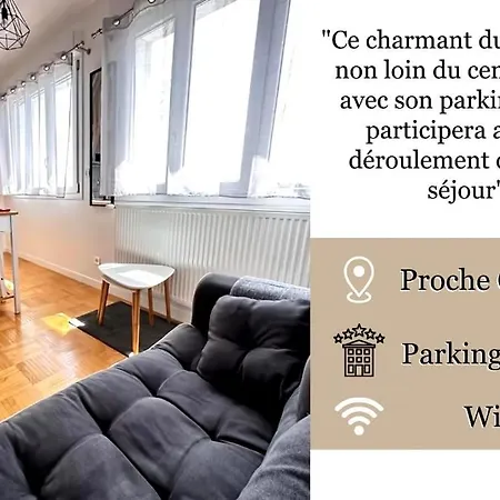 Le Pilier Un Cocon En Duplex Proche Centre * ריימס